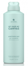 Alterna My Hair My Canvas Сухой шампунь «Еще один день» 142 г Another Day Dry Shampoo