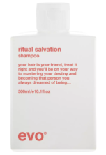 Шампунь для окрашенных волос Evo ritual salvation 300 ml